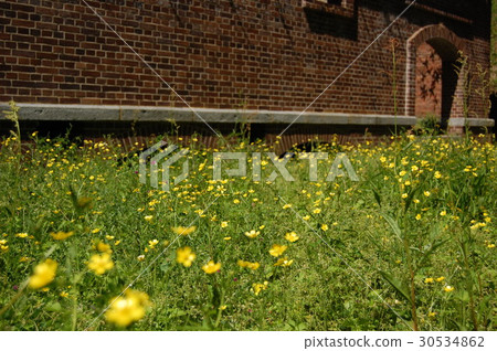 拉普達島 30534862