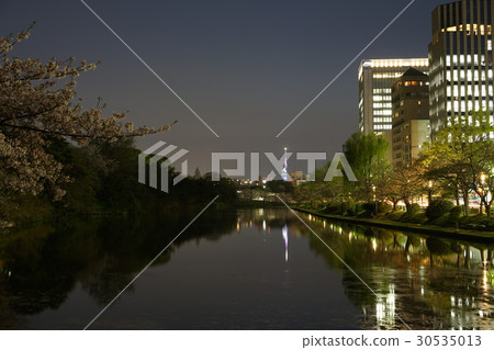 Maizuru公園櫻花和夜景 30535013
