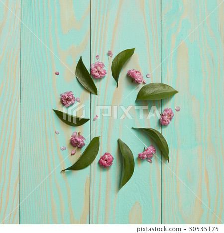 Frame of flowers and leaves 30535175