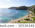 夏威夷海灘 30536348