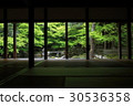 蓮花寺 30536358