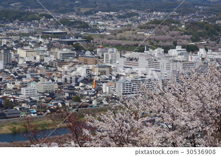 Overlooking Tsuyama City in Okayama Prefecture from the Jinnan Mountain Observation Deck: Center of the city and Tsuruyama Park full of cherry blossoms (Tsuyama Castle Ruins) 30536908