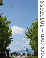 Airplane and blue sky 30537659