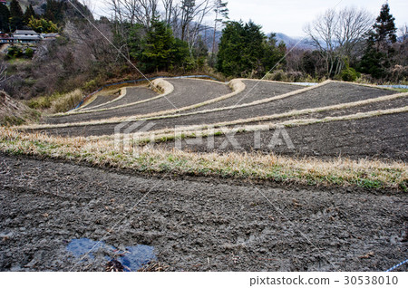 Rice field before rice planting 30538010