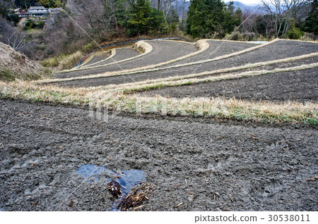 水稻種植前的稻田 水稻種植前的稻田 30538011