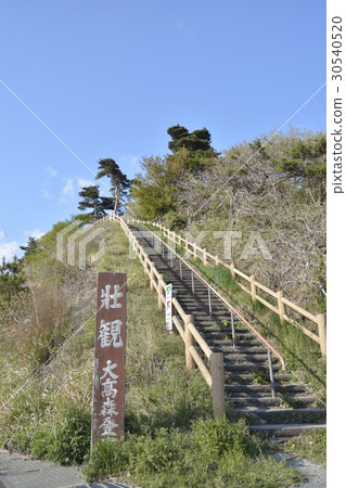 松島四大遊覽Otakomori（景觀）爬口 30540520