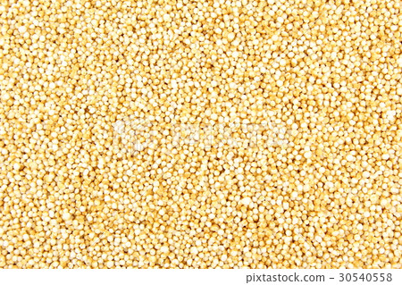 popped amaranth grain closeup popped amaranth grain closeup 30540558