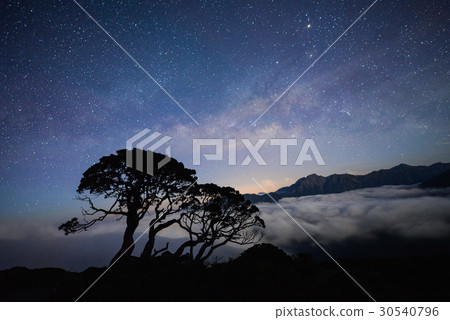 合歡北峰玉山圓柏銀河 30540796