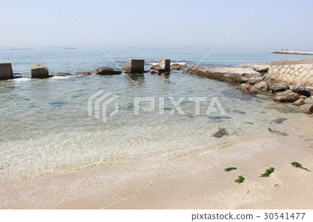 Hayashizaki Matsue coast (Hyogo ken Akashi city) Hayashizaki Matsue coast (Hyogo ken Akashi city) 30541477