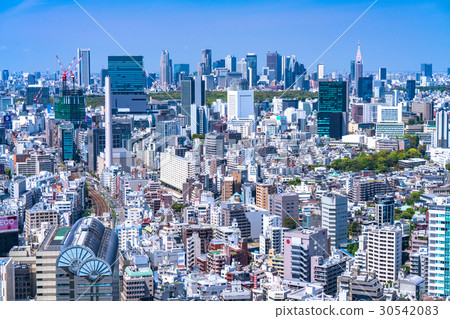 Tokyo · City image 30542083