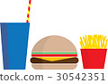 Fast Food Meal 30542351