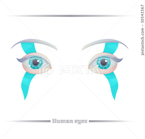 Human Eyes on a White Background Human Eyes on a White Background 30543567