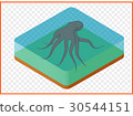 octopus vector isometric 30544151