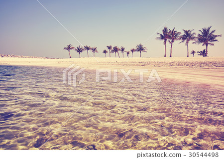 Vintage toned pristine beach. 30544498