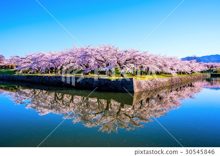 五棱郭公園（函館市） 30545846