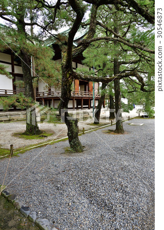 京都皇宮大廳 京都皇宮大廳 30546873