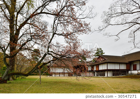 Katsura Rikyu Shogoin和Sakura 30547271
