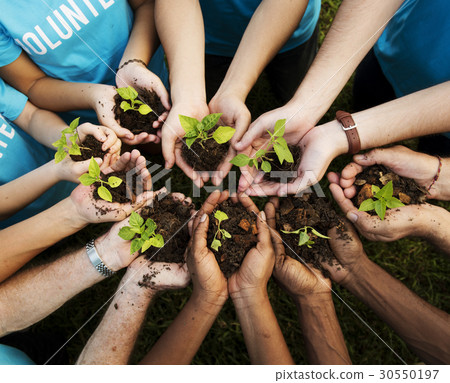 Group of environmental conservation people hands planting in aerial view Group of environmental conservation people hands planting in aerial view 30550197