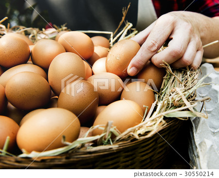 Fresh Chicken Rooster Eggs on Hay at Local Farmer Market 30550214