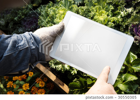 Farmers market fresh products for selling Farmers market fresh products for selling 30550305