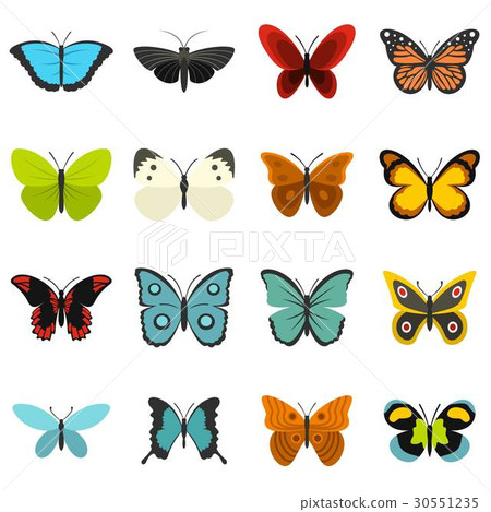 Butterfly set flat icons 30551235