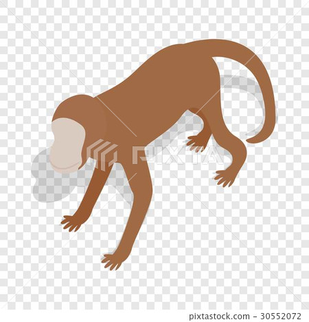 Monkey isometric icon 30552072