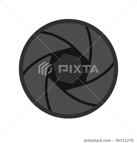 Professional objective icon, flat style 30553276