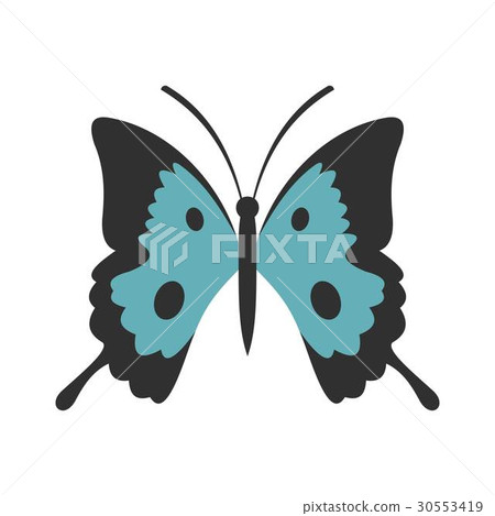 Butterfly icon, flat style 30553419