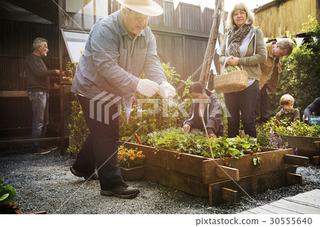 Group of people planting vegetable in greenhouse Group of people planting vegetable in greenhouse 30555640