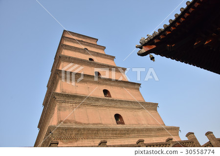 Xian large goose tower Xian large goose tower 30558774