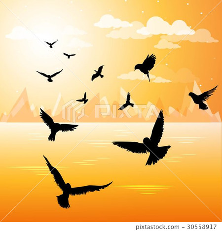 sinhouette birds frying to the sun in sunset sinhouette birds frying to the sun in sunset 30558917