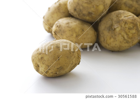New potato 2 30561588