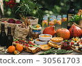 Picnic in nature  30561703