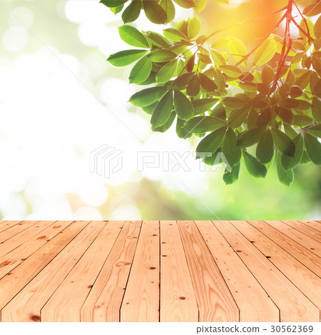 Green leafs in summer with burst light Green leafs in summer with burst light 30562369