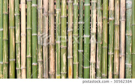 bamboo background bamboo background 30562384