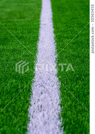 White line on green grass of a soccer field. White line on green grass of a soccer field. 30563458