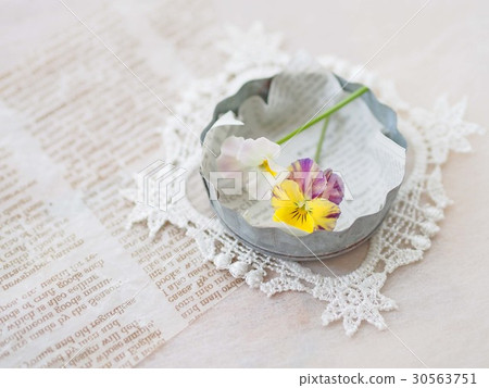 撻類型和中提琴 30563751