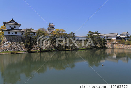 Imabari城堡,城堡塔,裝甲塔皇家城堡 Imabari城堡,城堡塔,裝甲塔皇家城堡 30563772