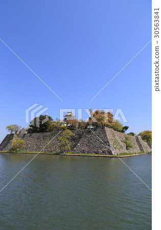 從西南看見的今治城堡全視圖 30563841