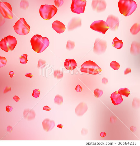 插圖素材: a lot of falling red rose petals on pink