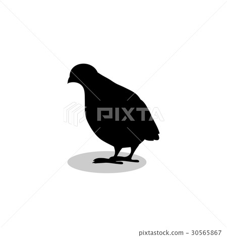 Partridge bird black silhouette animal Partridge bird black silhouette animal 30565867