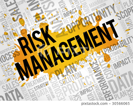 Risk Management word cloud 30566065