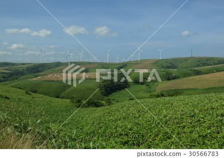 SōyaHillWakkanai SōyaHillWakkanai 30566783