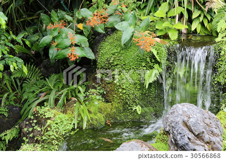 Kyoto Prefectural Botanic Garden Kyoto Prefectural Botanic Garden 30566868