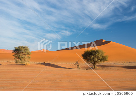 The scenic Sossusvlei and Deadvlei 30566960