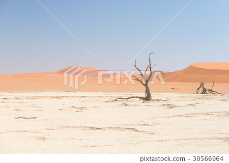 The scenic Sossusvlei and Deadvlei 30566964
