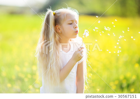 Little blonde girl with dandelion flower Little blonde girl with dandelion flower 30567151
