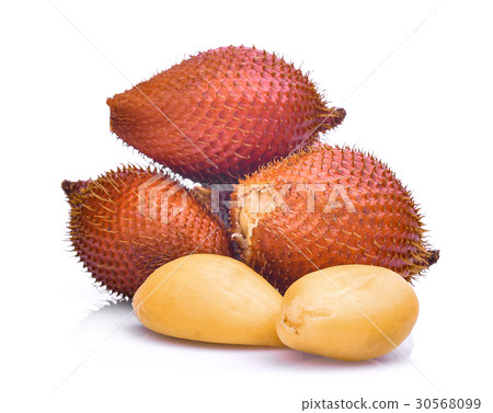 salak fruit,salacca zalacca isolated on white salak fruit,salacca zalacca isolated on white 30568099