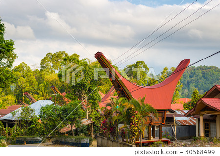 Traditional village of Tana Toraja, Indonesia. 30568499