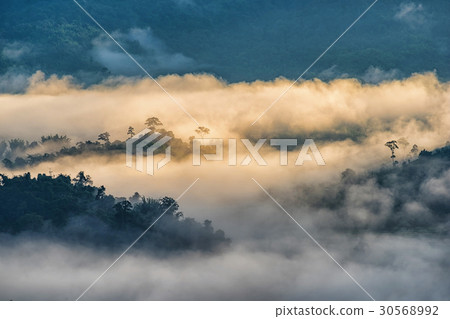 Landscape of Morning Mist with Mountain. 30568992